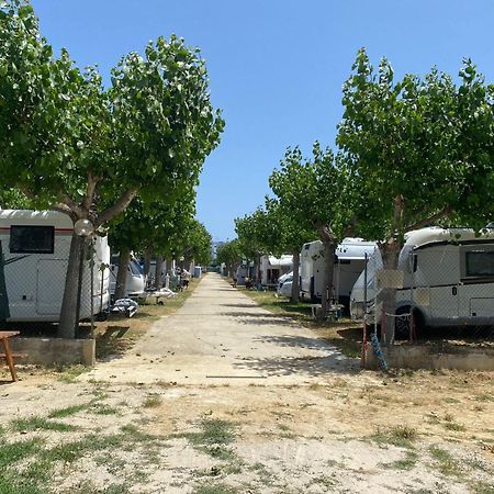 ホテル Camping Adriatico マルティンシクーロ エクステリア 写真