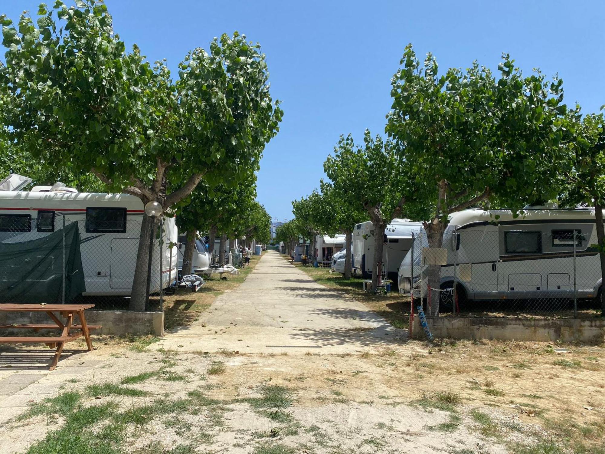 ホテル Camping Adriatico マルティンシクーロ エクステリア 写真